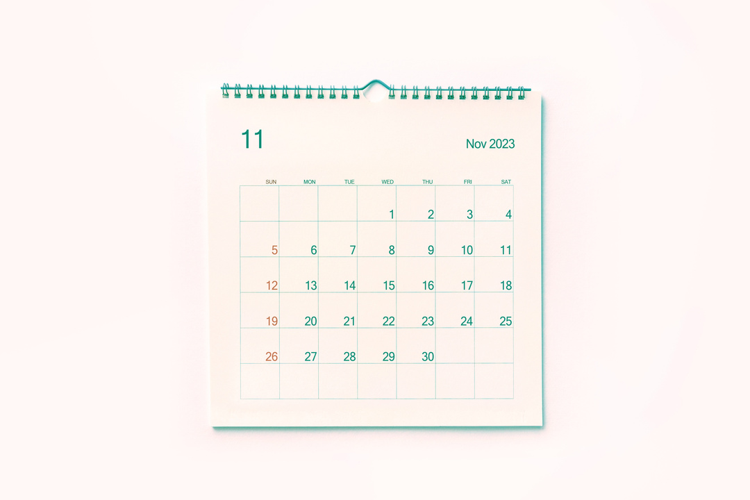 a image of a calendar for November 